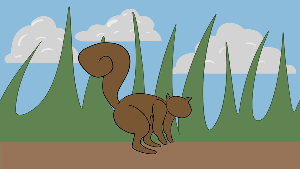 Squirrel Run